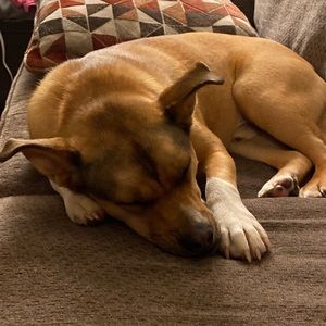 Meet your Posher, Daniela